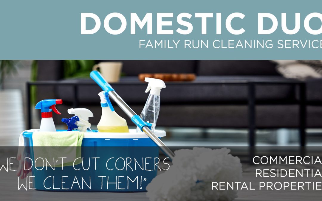 Domestic Duo Cleaning